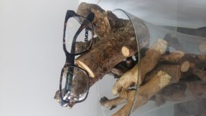 20211019_142035.jpg &nbsp;